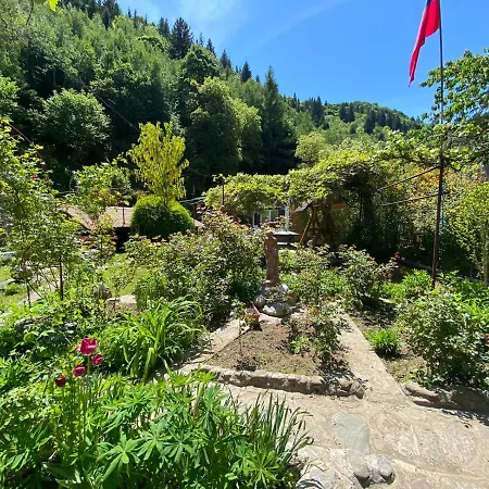Pensiunea Mioritica Gasthuis 3*